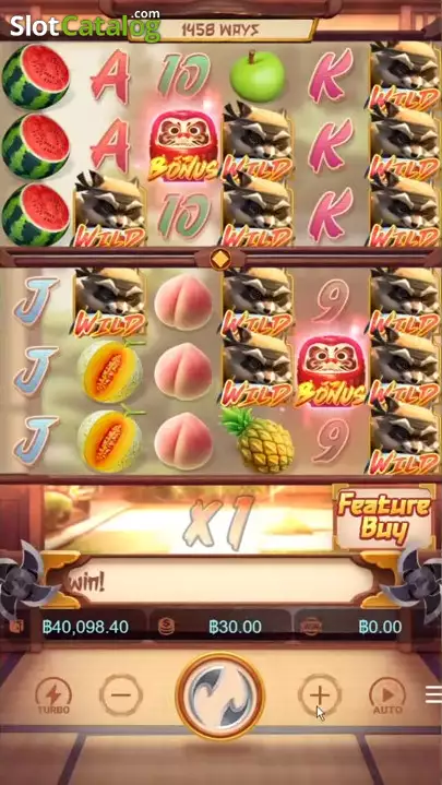 Ninja Raccoon Frenzy — Bônus / Feature